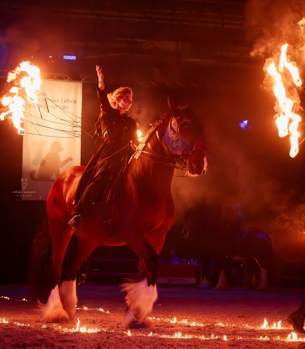 Linn Feuerhshow 2024